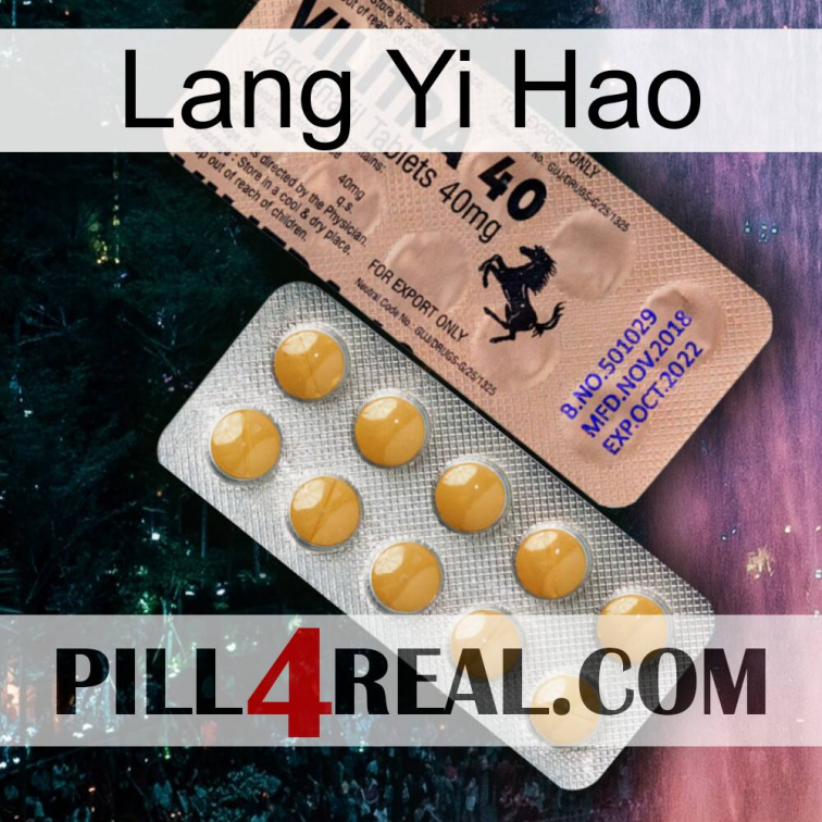 Lang Yi Hao 41
